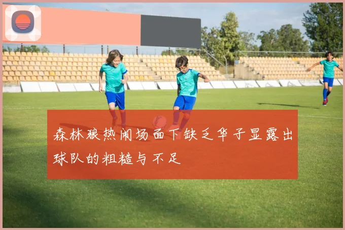 森林狼热闹场面下缺乏华子显露出球队的粗糙与不足