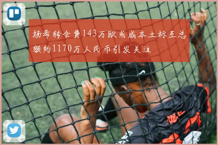 杨希转会费143万欧或成本土标王总额约1170万人民币引发关注