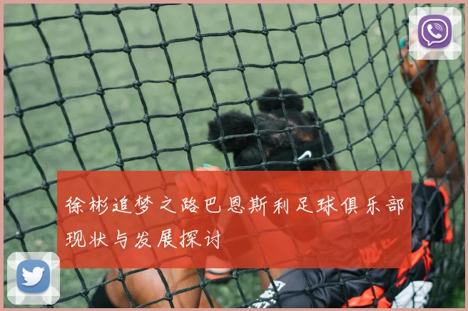 徐彬追梦之路巴恩斯利足球俱乐部现状与发展探讨